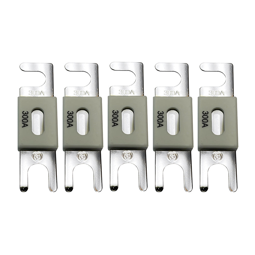 Victron ANLFuse 300A80V f48V Products Package of 5