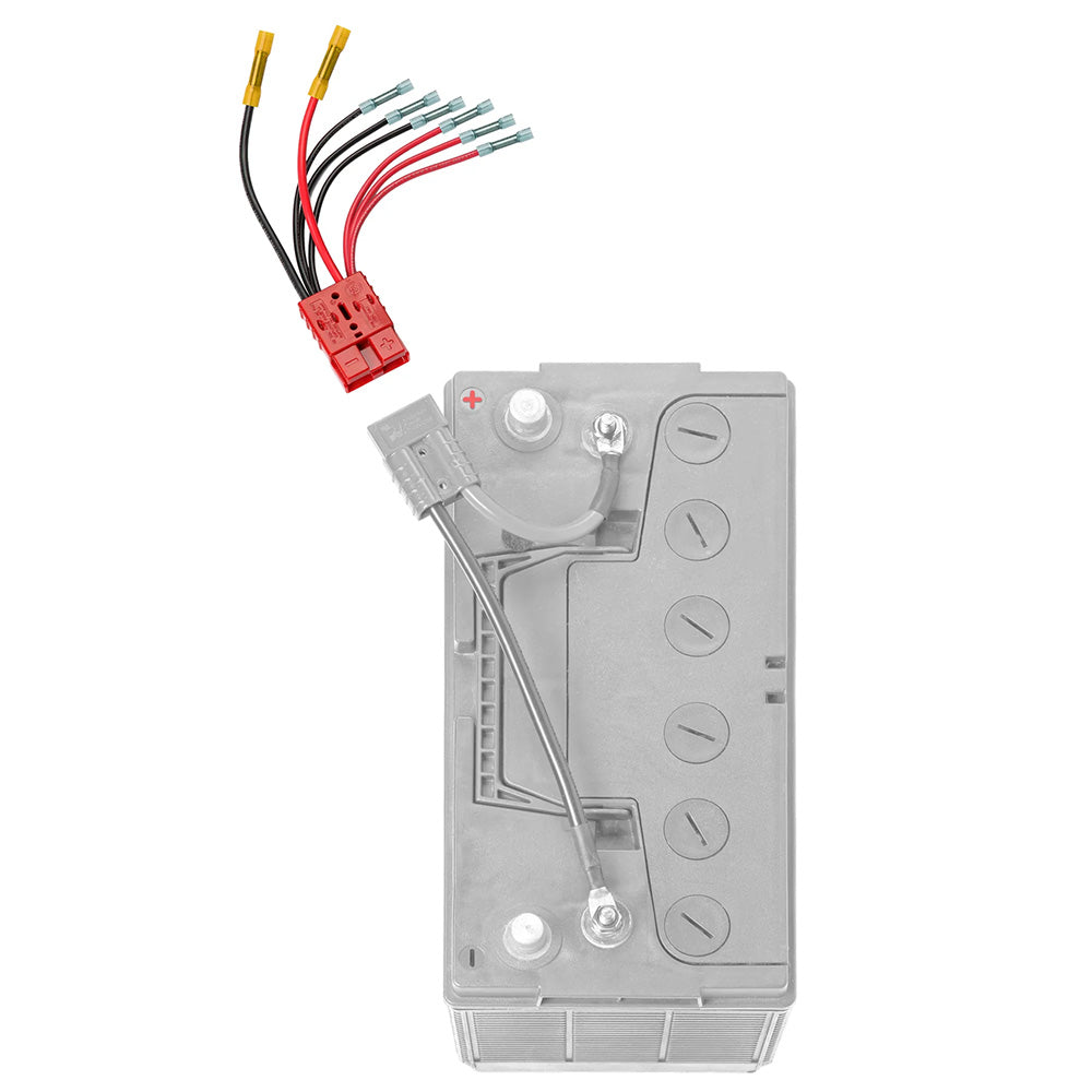 ConnectEase Multi 4 Lead Accessory fMain Battery