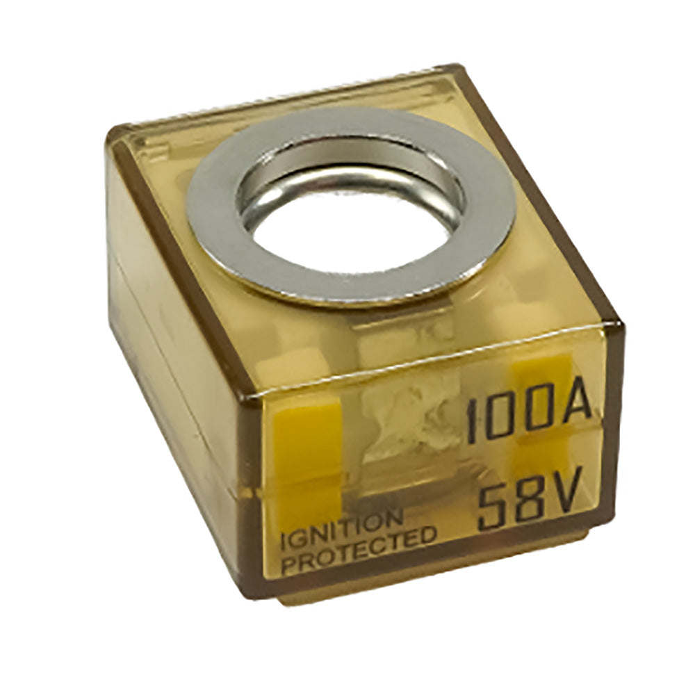 Egis MRBF Terminal Fuse 100 Amp