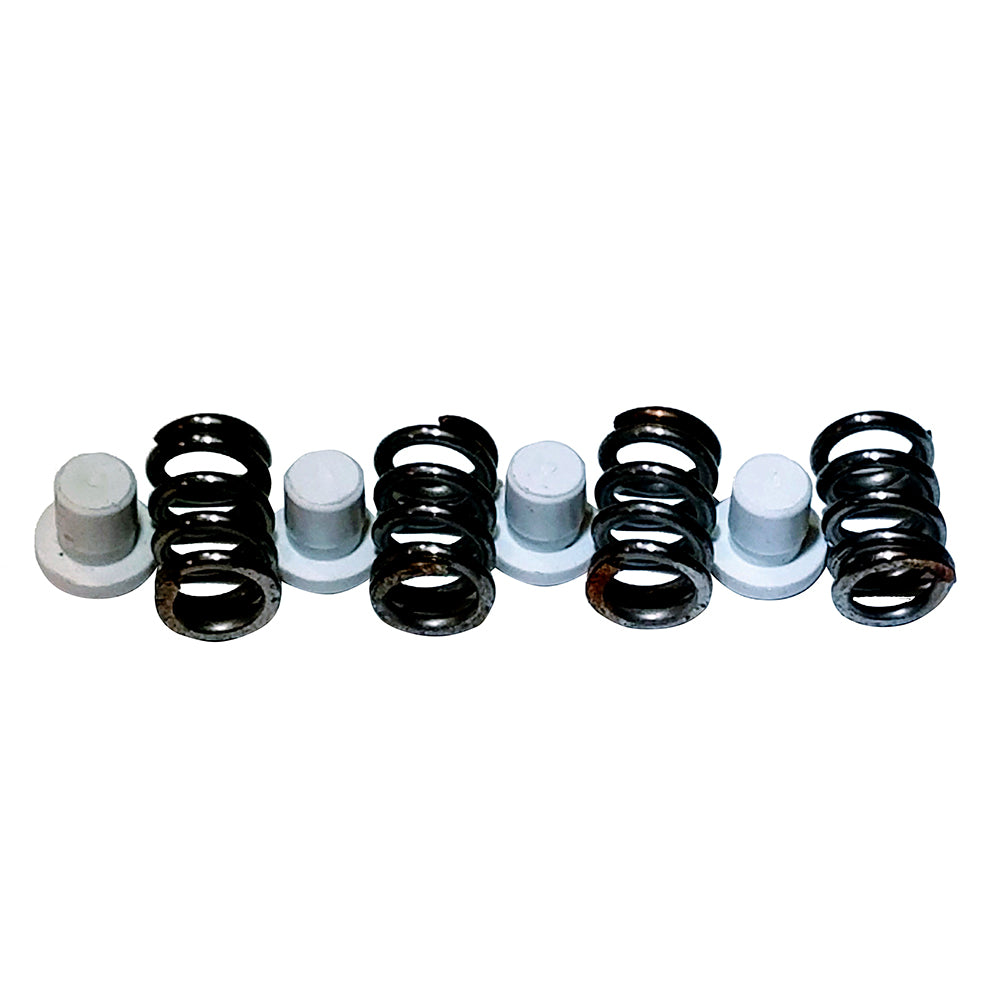 Maxwell PlungerSpring Kit 22004500
