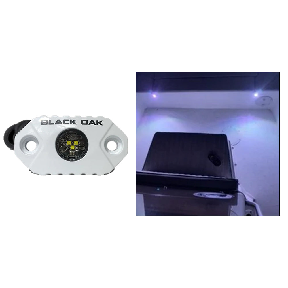 Black Oak Rock Accent Light White LEDs White Housing