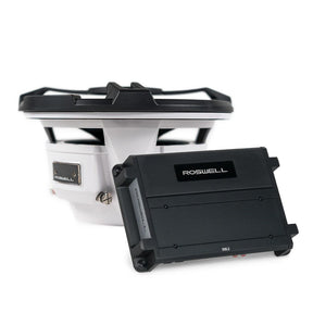 Roswell RMA 10 Subwoofer Package  Black