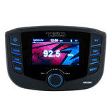 DS18 Marine Headunit TFT Screen  3 Zones  4V Output  Bluetooth  RDS 4x50 Watts