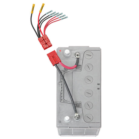 ConnectEase 12V NonFused MultiConnection System