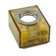 Egis MRBF Terminal Fuse  100 Amp