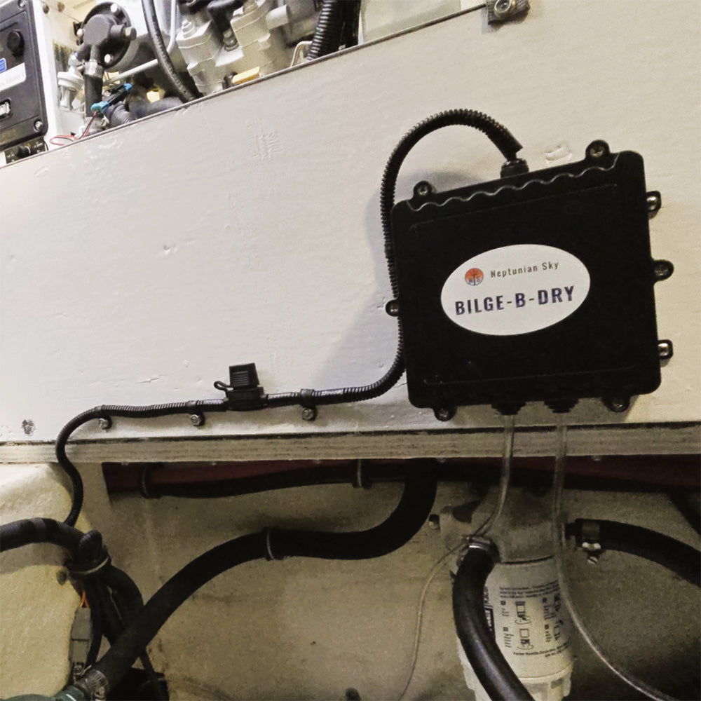 BILGEBDRY Quad Pump 12VDC