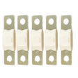 Victron MEGA Fuse 100A80V Package of 5 Pieces