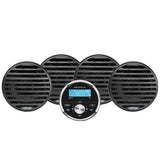 Aquatic AV Economy Gauge StereoSpeakers Kit  Black