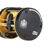 Ambassadeur Round Reel  Right Hand C25600 1649415