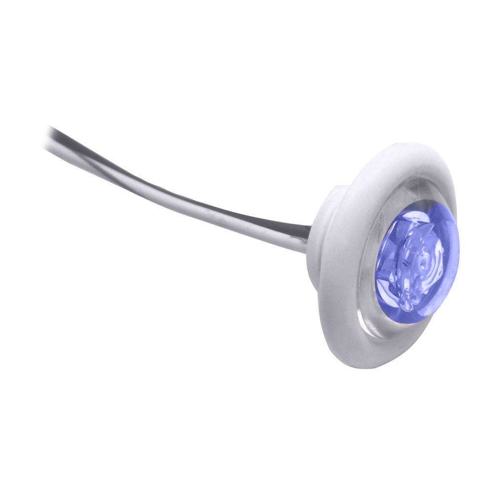 Innovative Lighting LED BulkheadLivewell Light The Shortie Blue LED w White Grommet