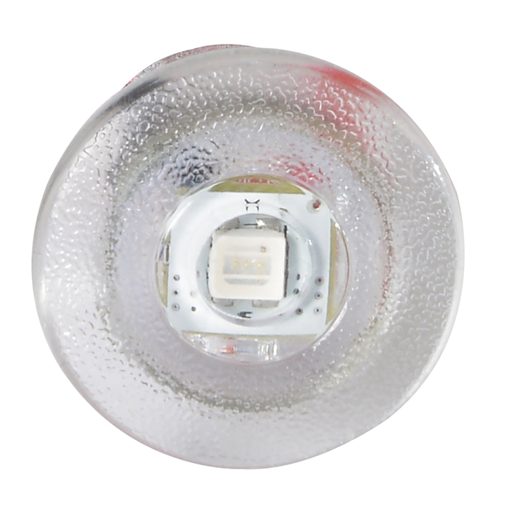 Lumitec Newt  Livewell  Courtesy Light  White Dimming