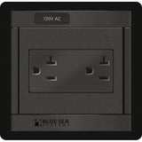 Blue Sea 1479 360 Panel  120V AC DUal Outlet
