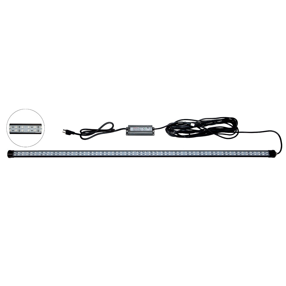 Hydro Glow DM260G 40W120VAC Dock Mounted Fishing Light  Green