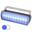 Hella Marine Sea Hawk XL Dual Color LED Floodlights  BlueWhite LED  Black Housing