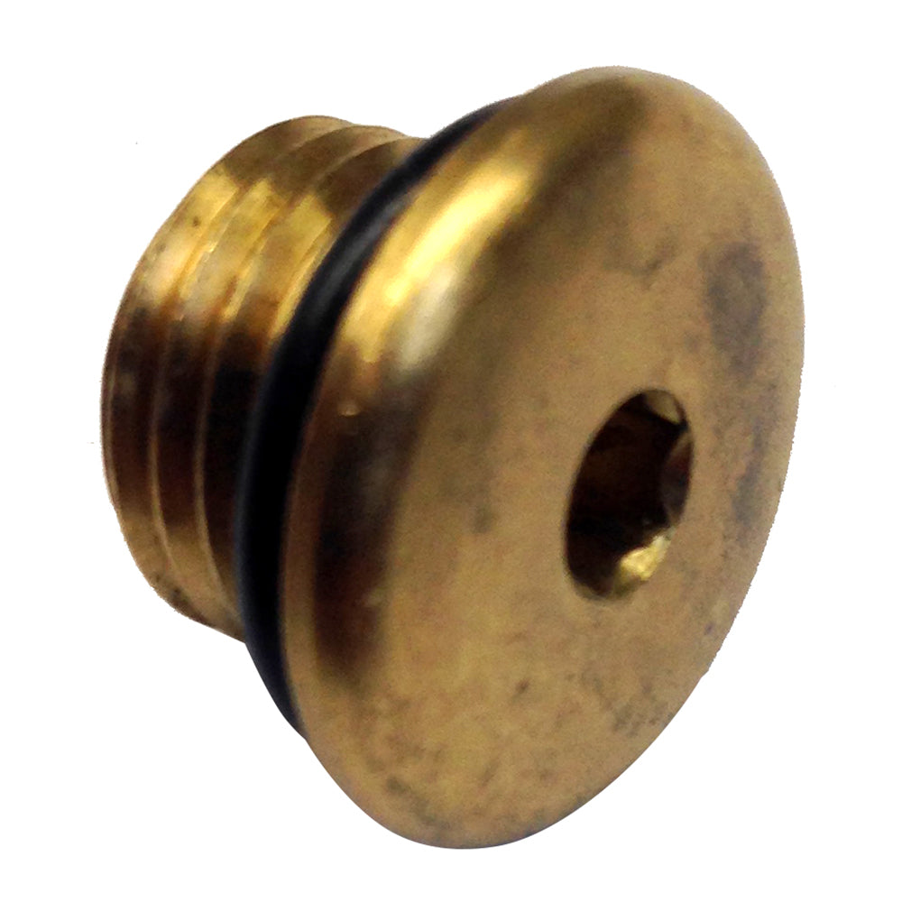 Uflex Brass Plug wORing for Pumps