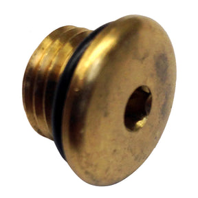 Uflex Brass Plug wORing for Pumps