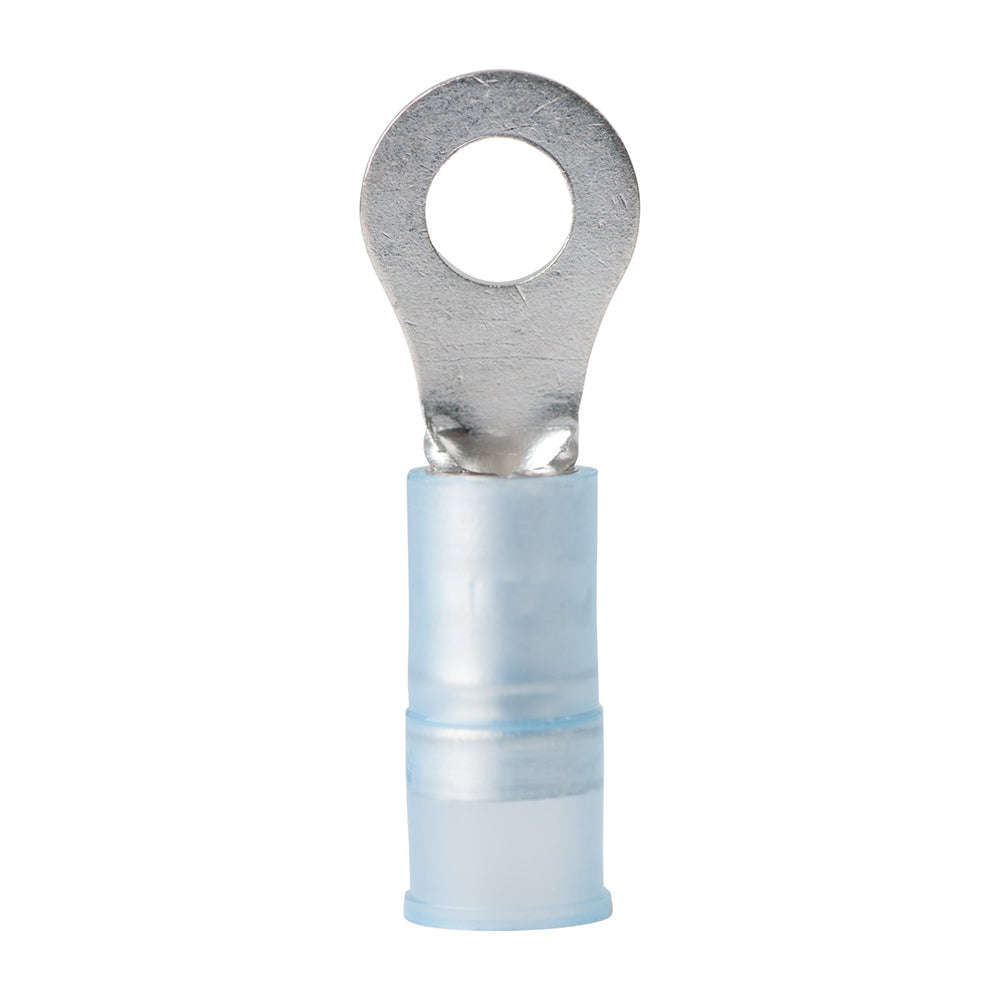 Ancor 1614 AWG  8 Nylon Ring Terminal  100Pack
