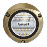 Lumitec SeaBlazeX2 LED Underwater Light  Dual Color  WhiteBlue