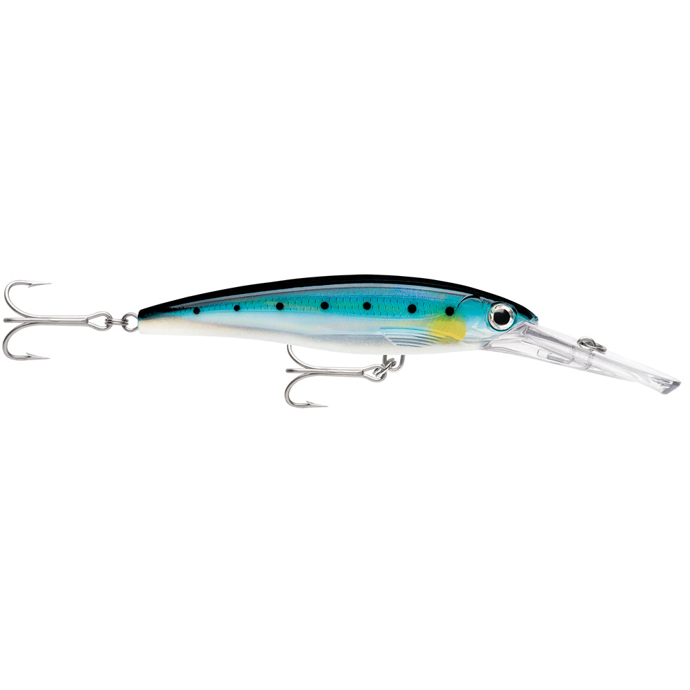 Rapala XRap Magnum 20 Sardine