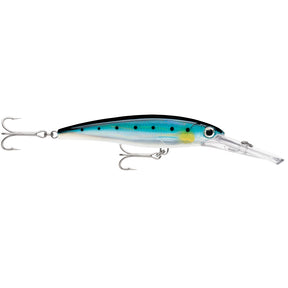 Rapala XRap Magnum 20 Sardine