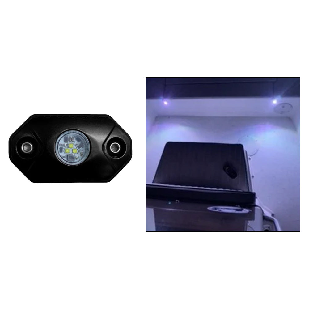 Black Oak Rock Accent Light  White  Black Housing