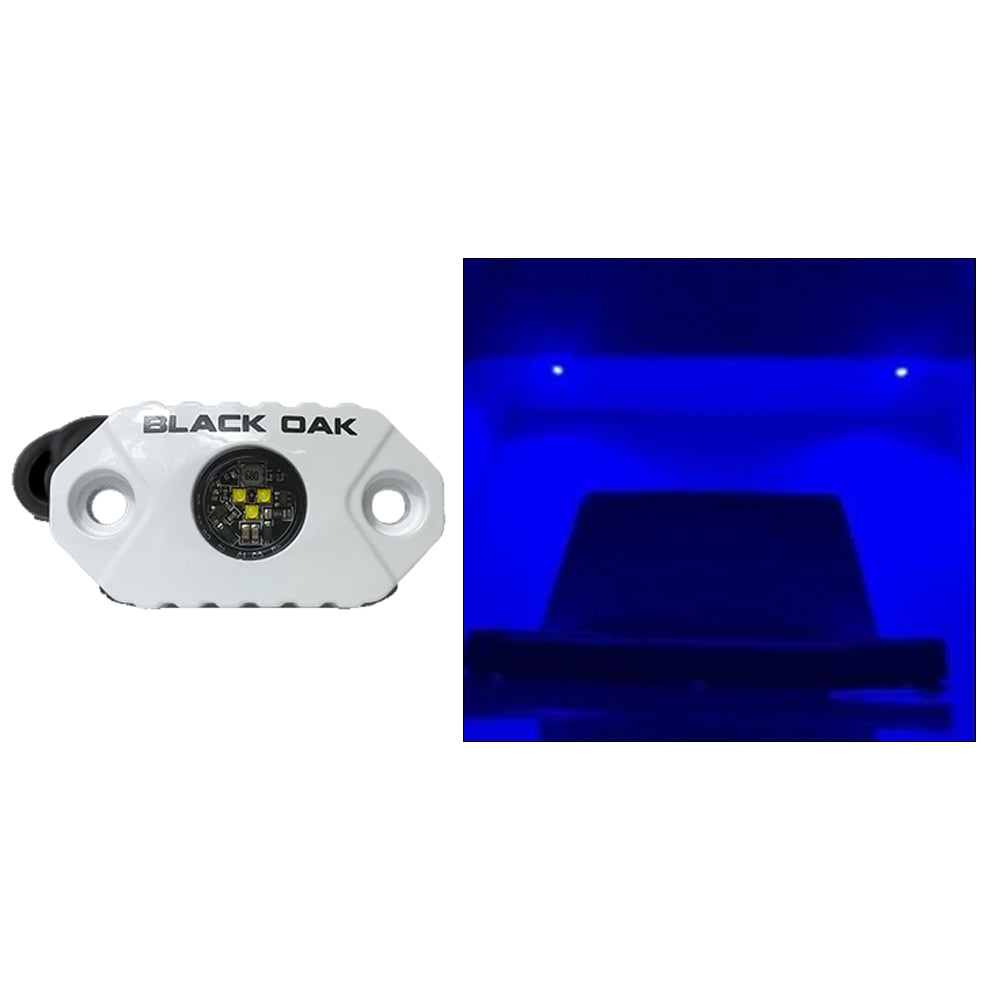 Black Oak Rock Accent Light  Blue LEDs  White Housing