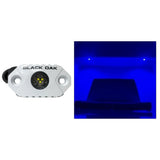 Black Oak Rock Accent Light  Blue LEDs  White Housing