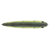 Berkley JWalker 120 Saltwater  HD Pilchard